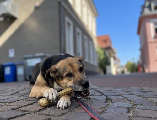 Über uns  - Leni